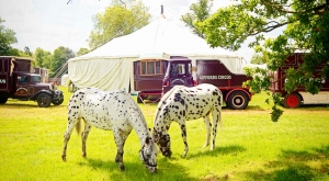 Giffords Circus Big Top