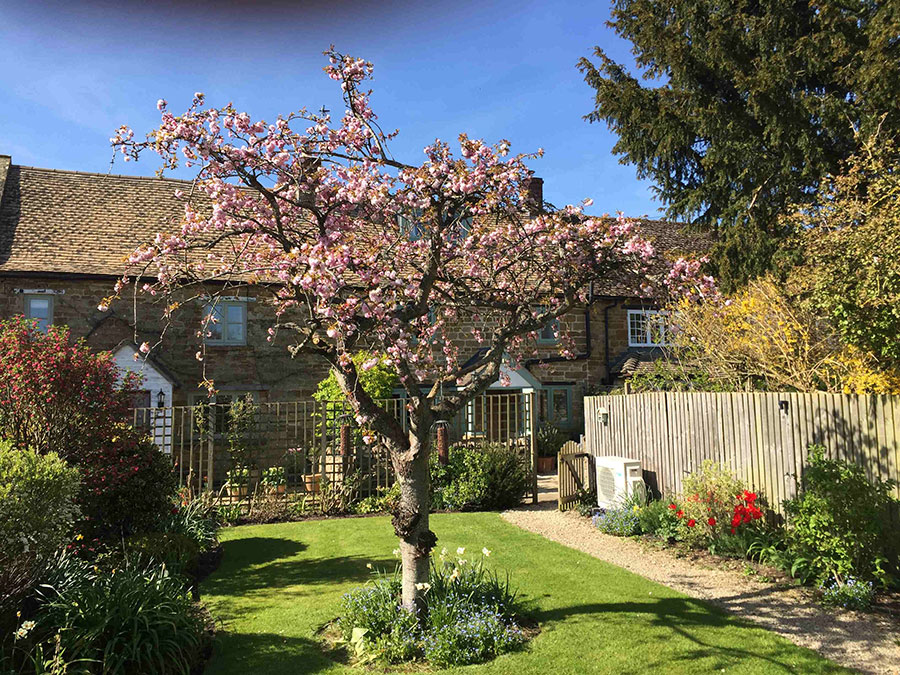 Cosy Corner Cottage Evenlode Exterior